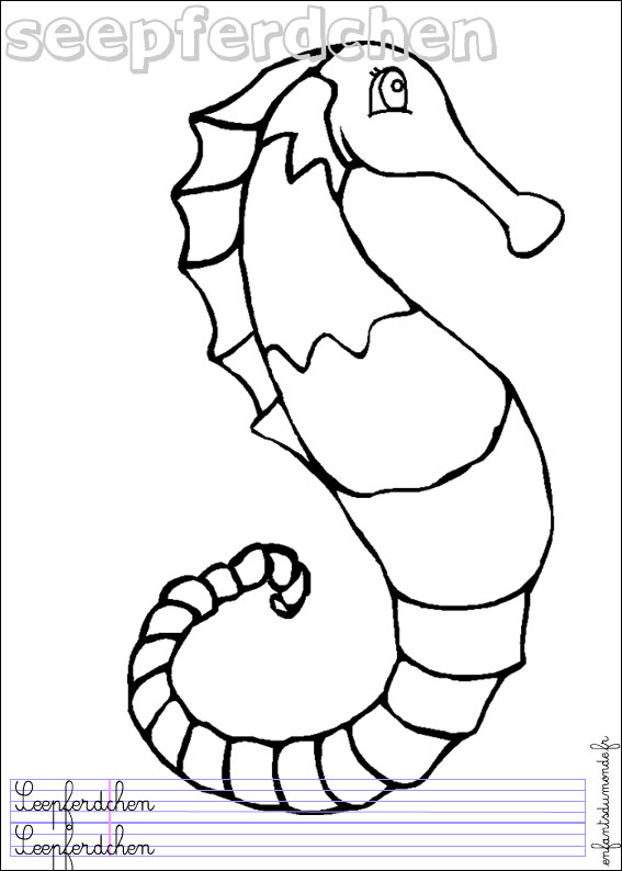 coloriage hippocampe 1